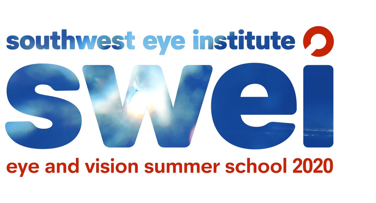 Welcome to the Eye &amp; Vision Summer School 2020! 
If you have the passion for research, we have the tools to help you develop your skills.
Watch this space for more information on how to enrol 👁. 
#EVSS2020 #SummerSchool #EyeandVision #SWEI