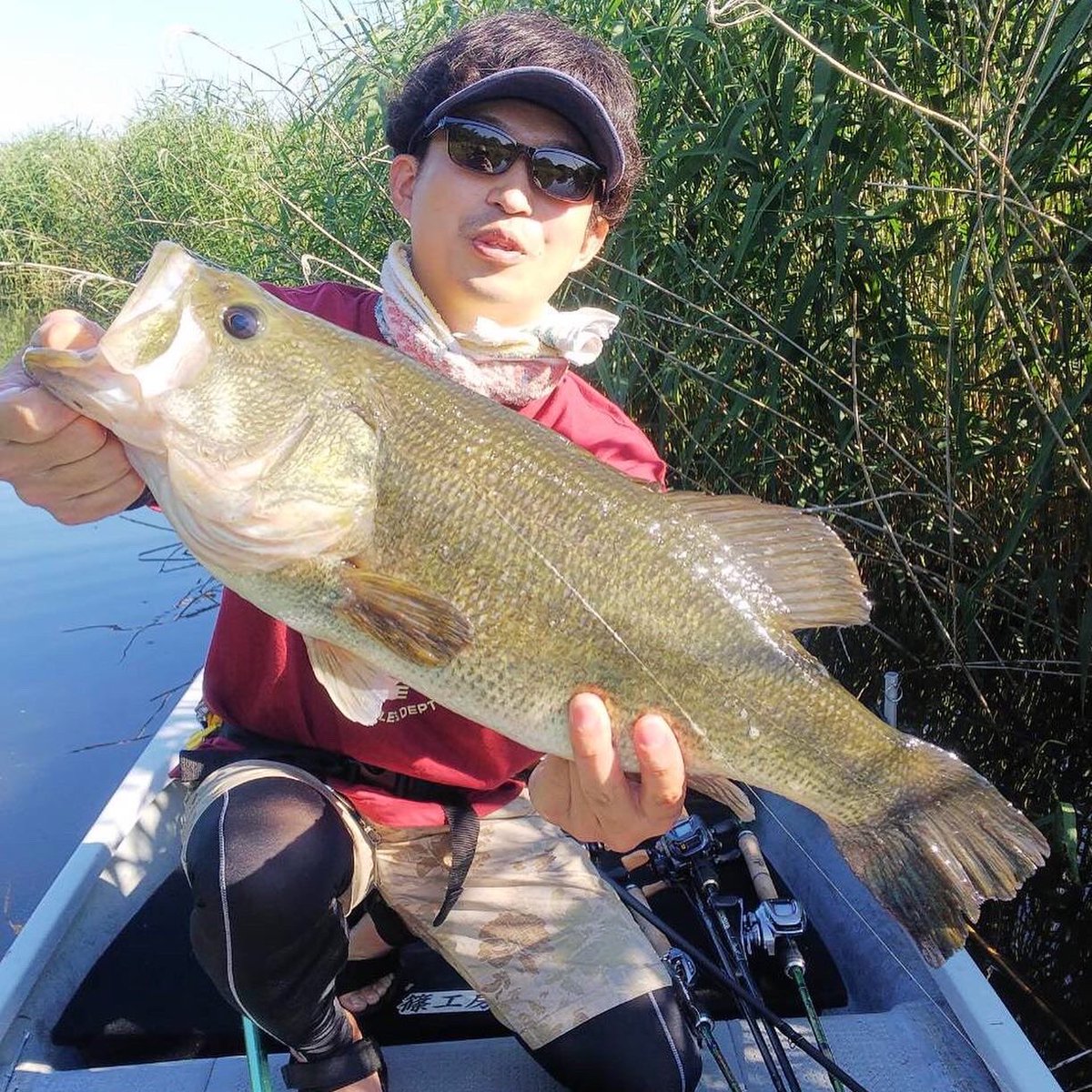 こーたろー 今日の多々良沼はジグで51cm 2260g を筆頭に2本の釣果でした トルクのある強烈な引きと太い魚体 やっぱりタタランバス最高ですね 多々良沼 ノリーズ ケイテック タタランバス バス釣り こーたろー 今日の多々良沼はジグで51cm 2260g を筆頭に2本の釣果でした トルクのある強烈な引きと太い魚体 やっぱりタタランバス最高ですね 多々良沼 ノリーズ ケイテック タタランバス バス釣り