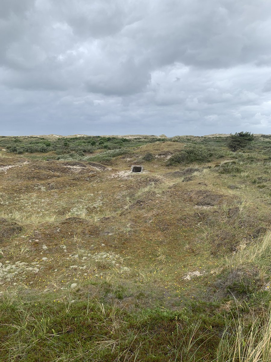willembemboom's tweet photo. Eindelijk gevonden: de enige WO1-bunker op Terschelling, ‘Het Fort’!
#hetfortterschelling #bunkerchallenge https://t.co/XGi0k82lIj