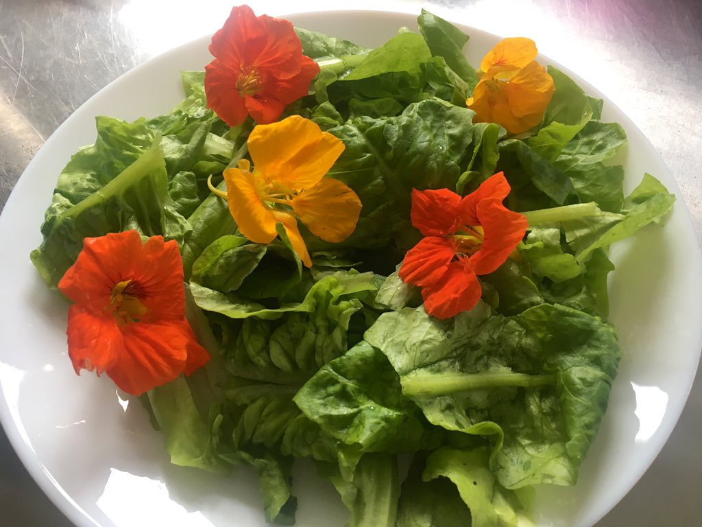 100% homegrown lunch. Hope to add some tomatoes and cucumbers to the plate in a few weeks' time...