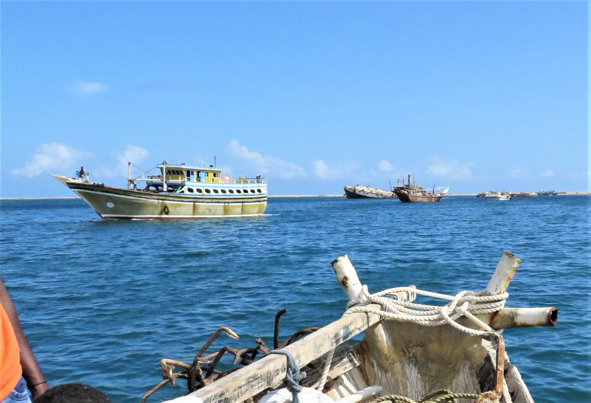 GlobalFishWatch's tweet photo. Together with @tm_tracking, our analysis identified likely one of the largest illegal fishing operations occurring in the world, by a fleet of predominantly Iranian vessels operating in the waters of Somalia and Yemen and adjacent high seas: https://t.co/2eqRR55fXv https://t.co/1sOK9oSTLR