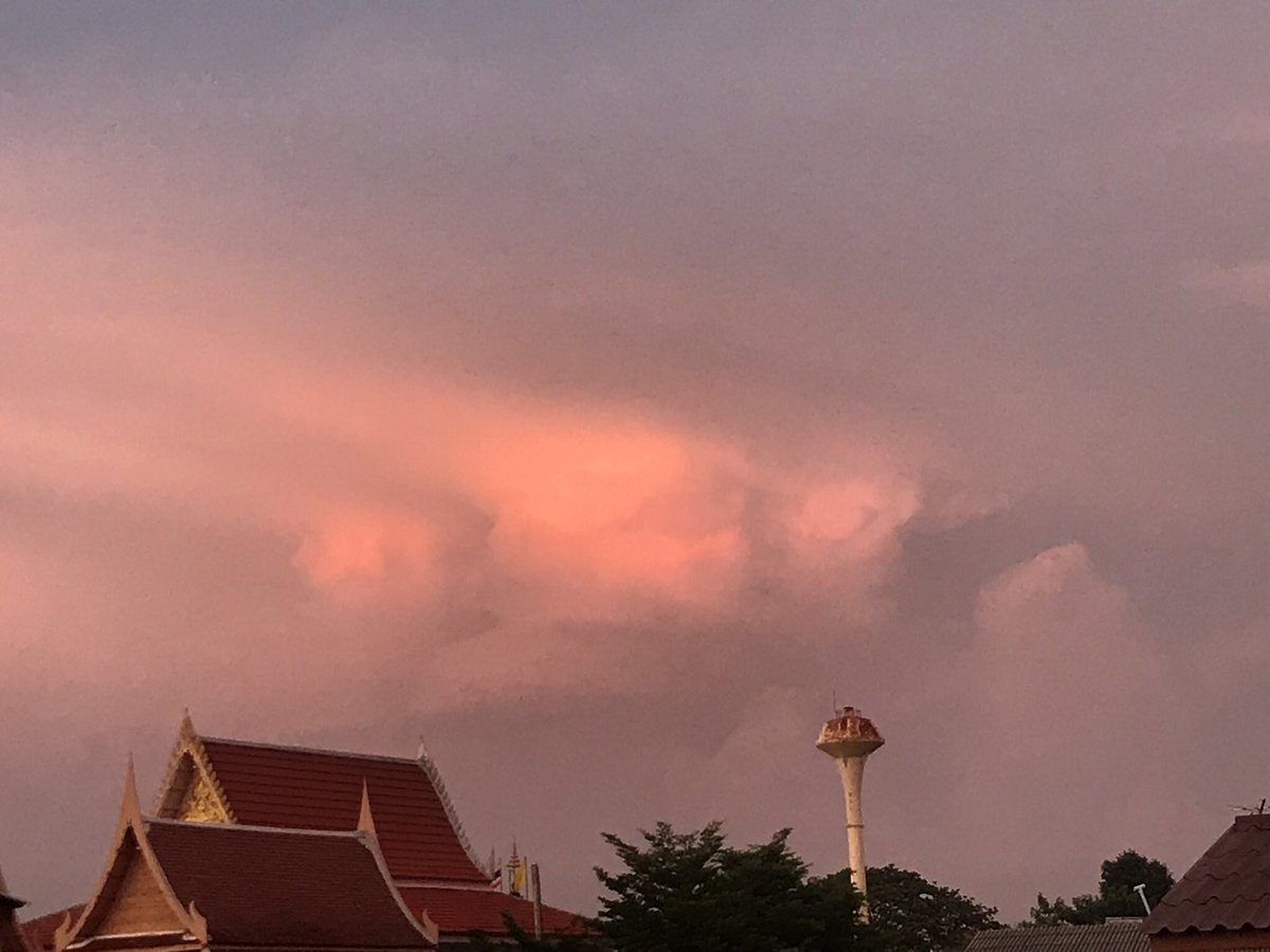 ☦︎ 𝚃𝚒𝚐𝚎𝚛 ✡︎ | ไม่ค่อยว่าง tweet media