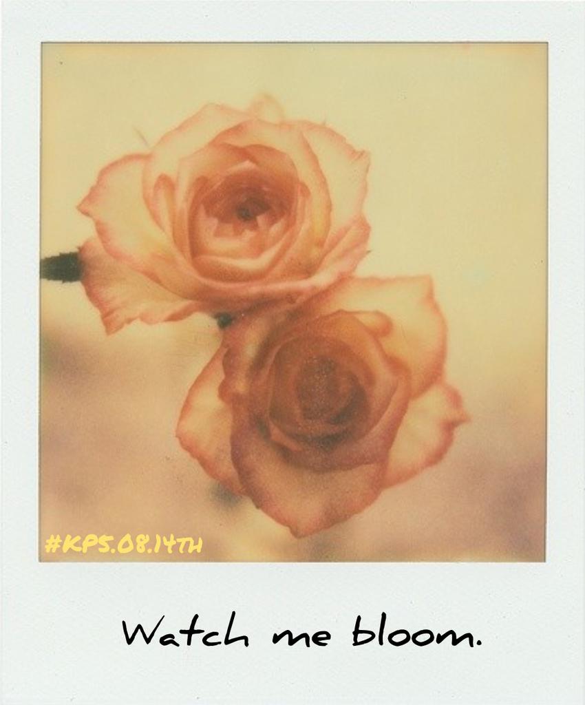 iamryelie's tweet photo. #46DaysTillKP5 💛 #WatchMeBloom on 08.14th ✨ @katyperry 💛💖💛 https://t.co/9aZZKJFgGL