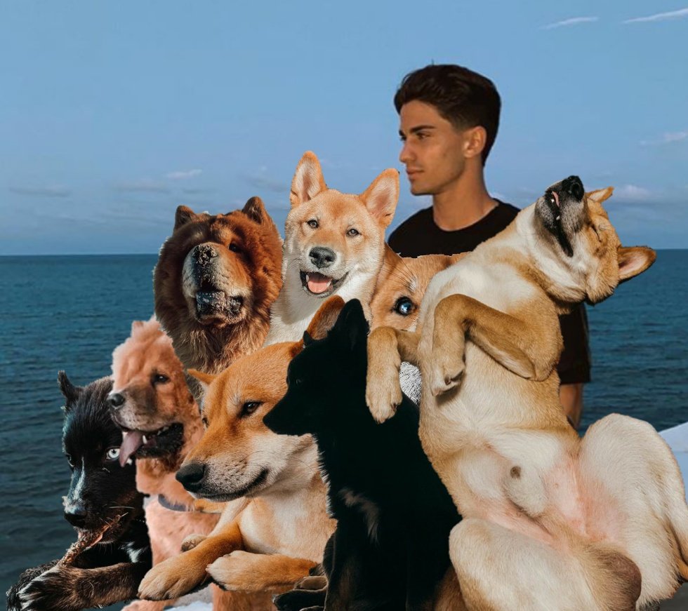 Colladogs10's tweet photo. One of the powers that supports him!
#DogPower
#AC30 https://t.co/PFU9gQVcFx