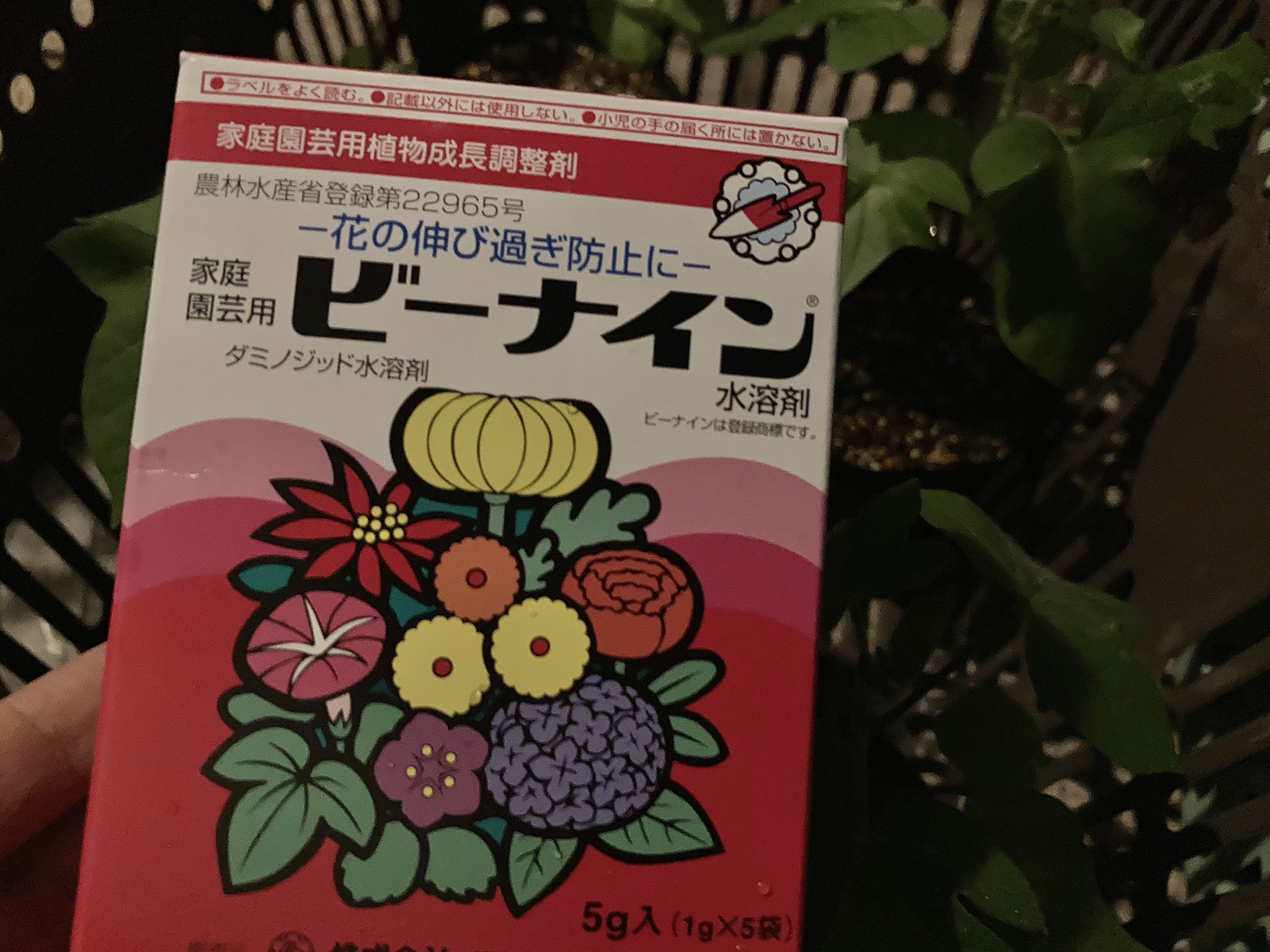 うしごめ 蔓の伸びを抑えるため東京朝顔研究会の案内に従って成長抑制剤 ビーナイン しました なにしろタイミングが 6月中 かつ 晴れた日の夕刻 らしく それ今日じゃんと急いで買ってきた 人類は怖ろしいものを持ってるね 36日目 2