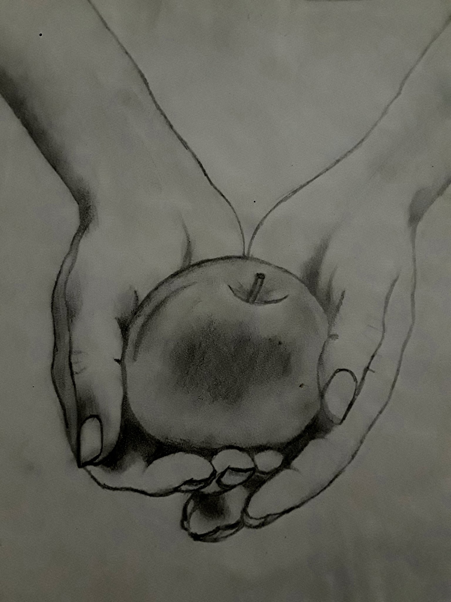 Lo nuevo de Crepúsculo 🍎 https://t.co/jb7CmN1oDq