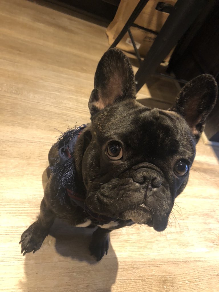 Camilo_vm_'s tweet photo. @fj_newman This is rolando’s fredperry scarf 🧣 https://t.co/8WBxYKeDBq
