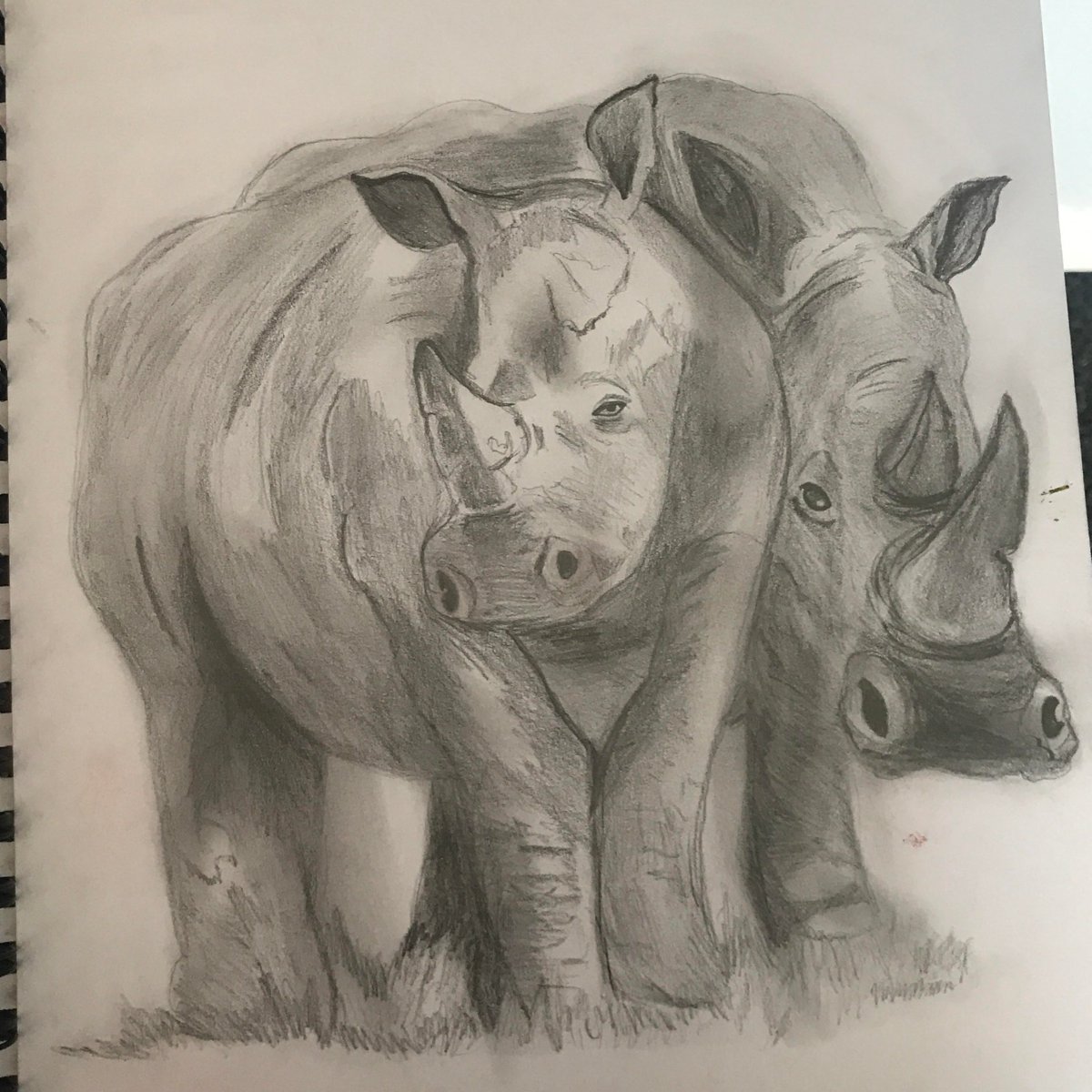 Super work Madison! Sent in by one of our very talented year 8 art pupils. Keep up the good work! #ArtAndDesign #KS3Art #TonalDrawing #Shading