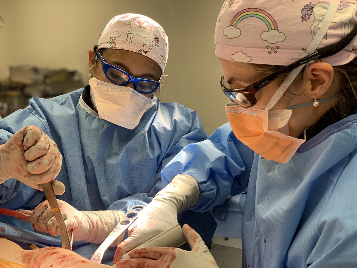 Rare sighting! Two ladypods in one room! #unicornsurgery #SEMLS #CerebralPalsy #ioperatelikeagirl #facesoforthopedics #pediatricorthopaedics luckily we have all been working hard to make these events not as rare! #DiversityIsOurStrength @RJOSociety @AAOS1 @aacpdm @Nicklaus4Kids