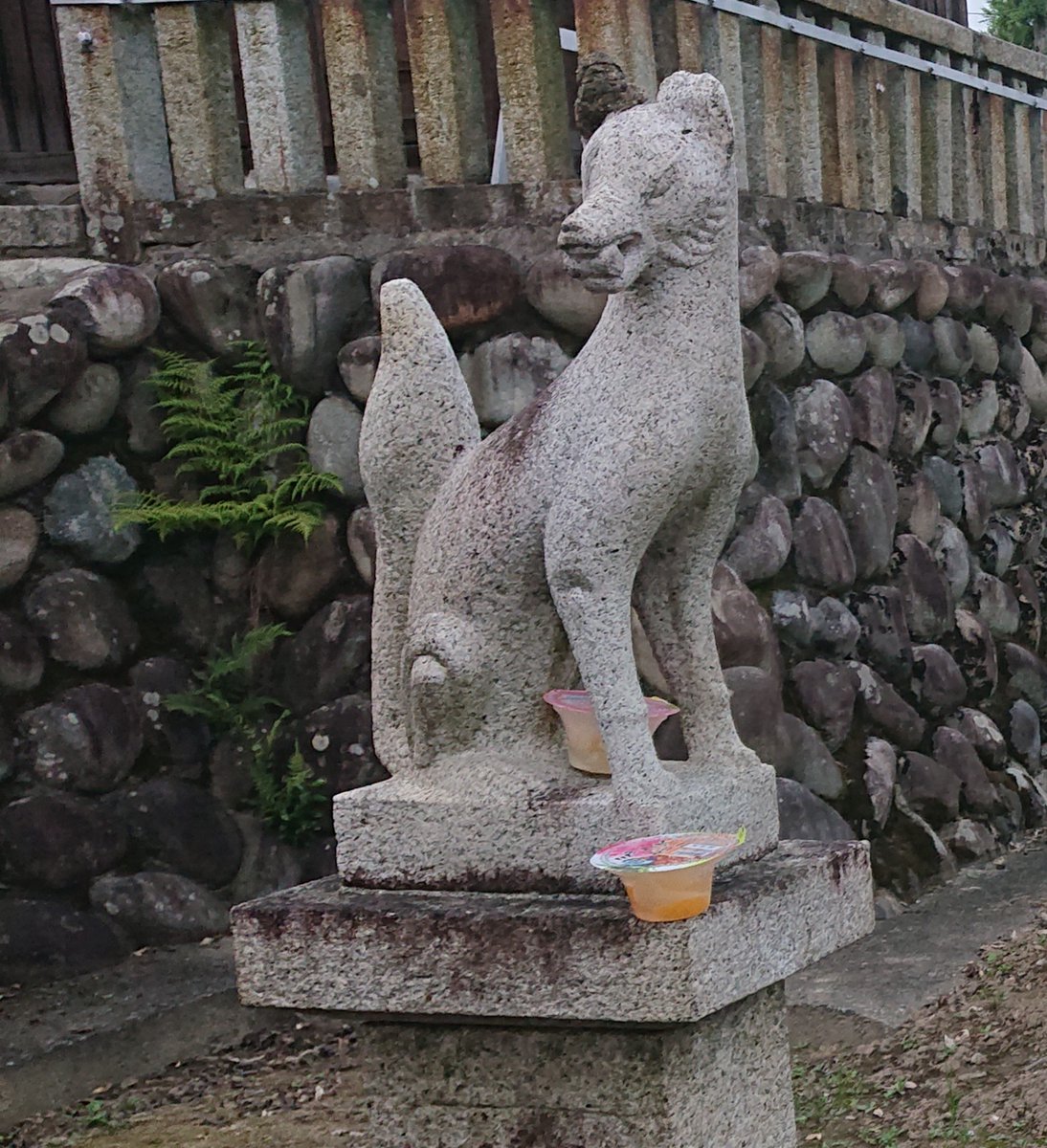 ｏ ｒ 鍵っ子 ゲーマー على تويتر 神社 お供え物 散歩 こんばんは そう言えば 宝 犬 の散歩をしていたら 近所の神社で お供え物が 笑 腐らないか心配だけども O