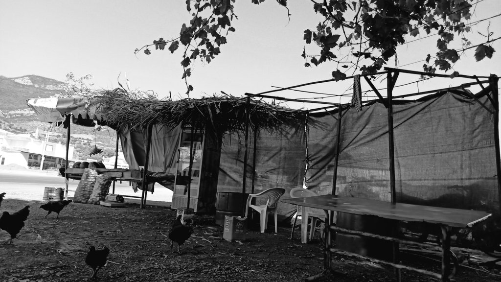 Arkadaşlarım manav açma kararı aldı , eyi kötü de bi çark döndü açıldı lakin yolda gitmeyen birçok şey var ? Siz bı düşünün de şu işe bi el atalım .
#beyrebucakmanav