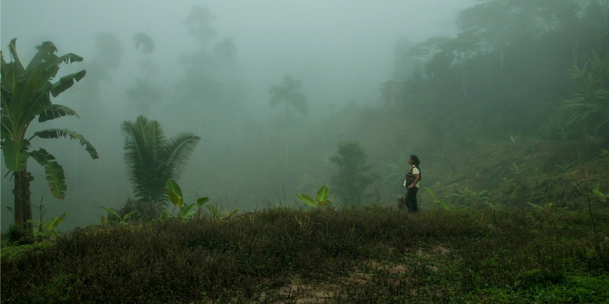 #COVID19 is a wakeup call to redesign the contract between people &amp; planet. With human action, nature &amp; economies more connected than ever, #SDGintegration is the roadmap towards an inclusive &amp; green recovery. ✍️🏽 Laurel Patterson explains in this blog: sdgintegration.undp.org/covid-19-wake-…