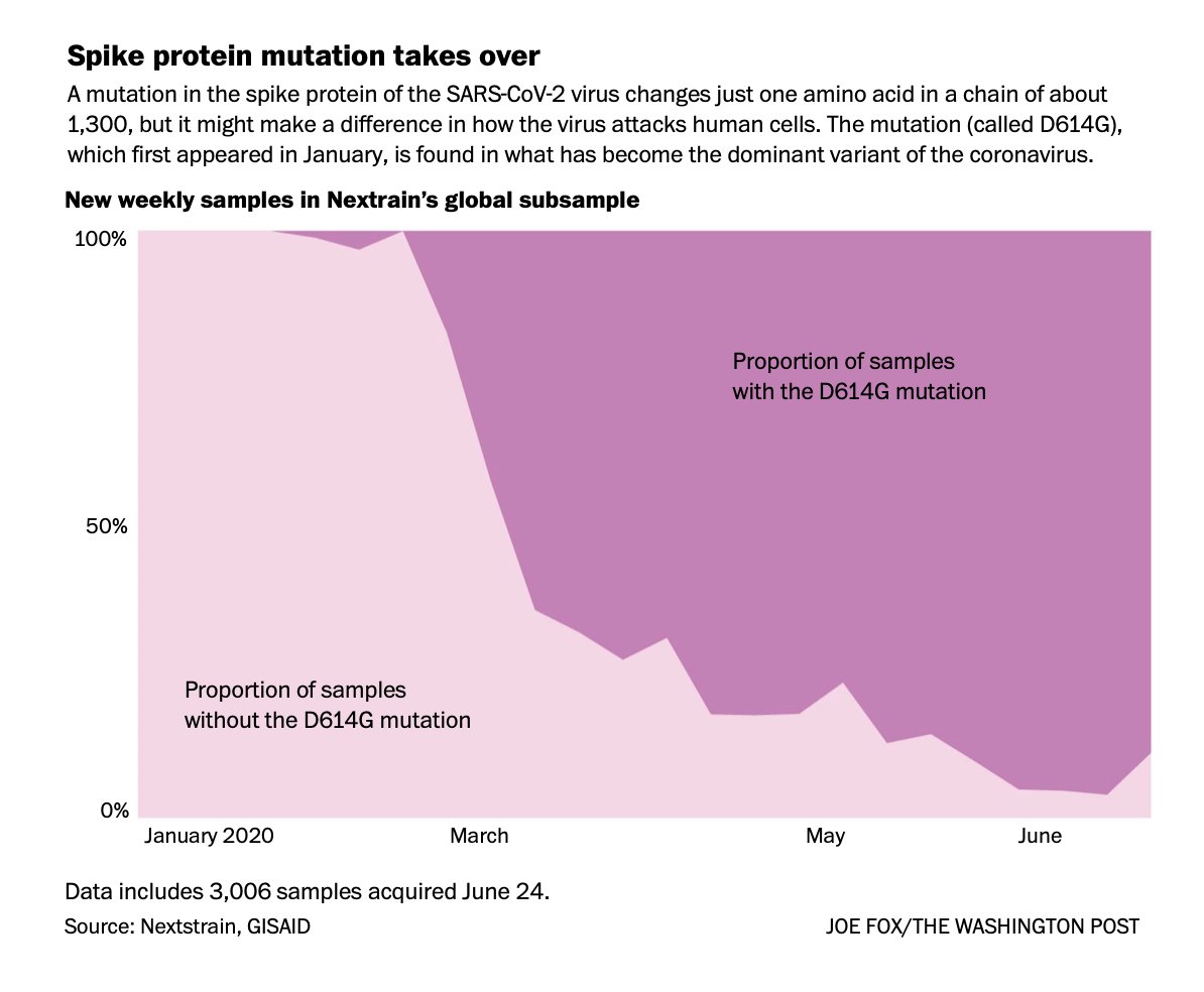 EricTopol's tweet photo. This looks bad.
But one line within it sums it up well
“The bottom line is, we haven’t seen anything definitive yet"--@LubanLab
 https://t.co/X4JXoZNQPD…
by @sarahkaplan48 https://t.co/TtbnzEb11q