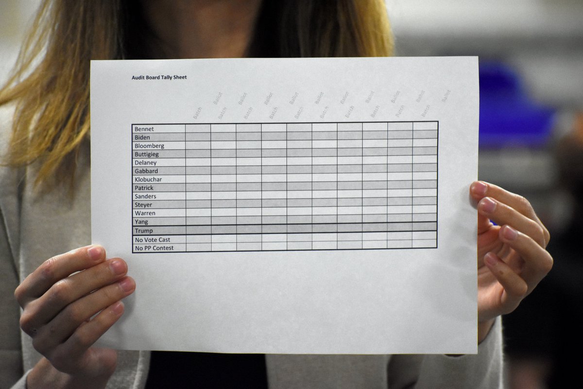When members of the audit team pull the ballots they're supposed to, after logging chain of custody, they'll fill out this paper sheet that tracks what precinct, what ballot and the exact votes that appear on those ballots - from both BMD and absentee by mail ballots.