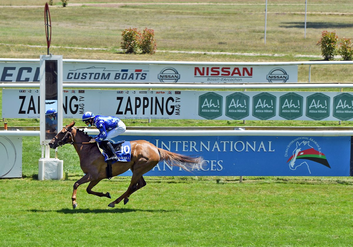 Impressionnante victoire de MIN'HA (No Risk Al Maury <a href="/HarasSaintFaust/">Haras de Saint Faust</a>) dans le Shadwell - Critérium des Pouliches (Gr2) à <a href="/HippoLaTeste/">Hippodrome La Teste</a>. Elle porte les couleurs du Cheik Mohammed Bin Khalifa Al Thani et est entraînée par <a href="/RohautRacing/">Ecurie Rohaut</a>. Valentin Seguy, <a href="/ShadwellFarm/">Shadwell Farm</a>
 📸 R. Polin