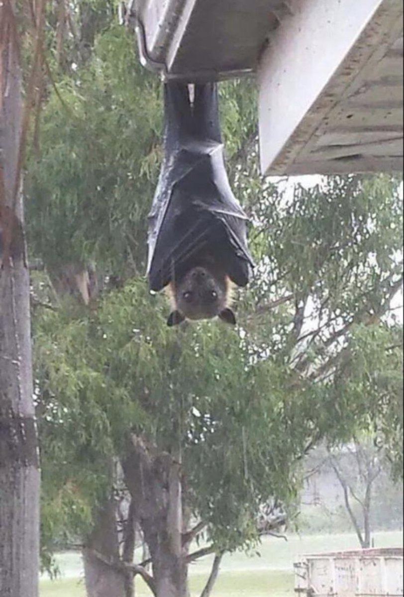 Kathleen Lights tweet media