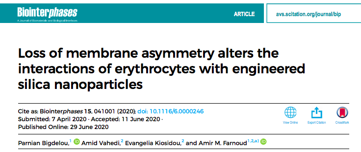 Silica particles are known to disrupt the membrane of erythrocytes. But what happens when the membrane loses its asymmetric structure? Find out by reading the great work of <a href="/ParnianBigdelou/">Parnian Bigdelou</a> and <a href="/AmidVahedi/">Amid Vahedi</a> (and thanks Dr. Kiosidou at the <a href="/ICMTCorrosion/">ICMT Corrosion Center</a>!) in <a href="/biointerphases/">Biointerphases</a>!
