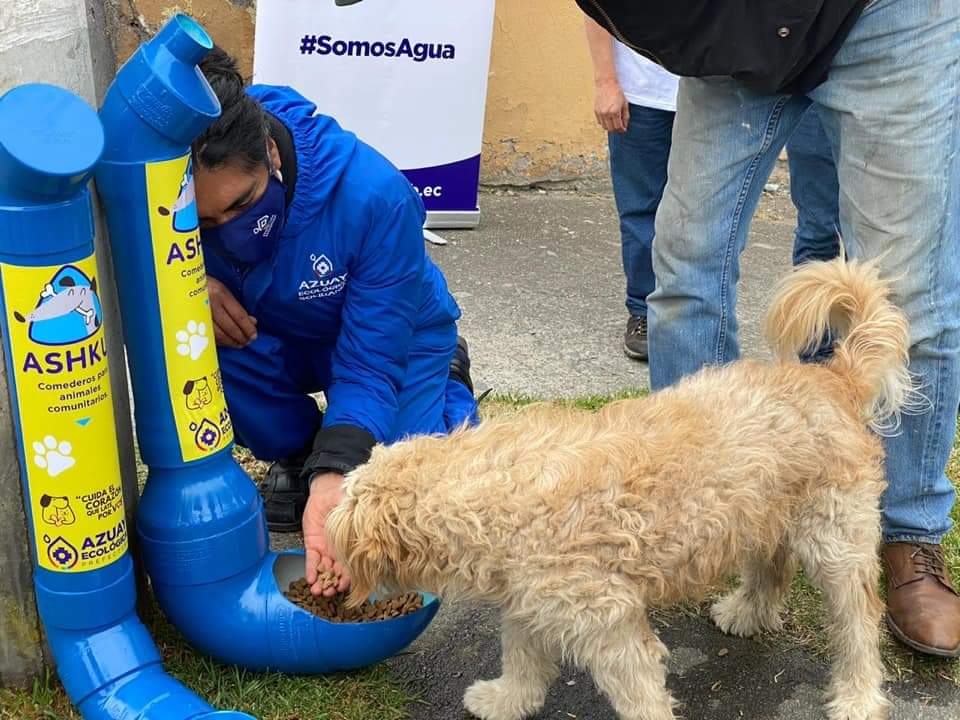 _REDInformativa's tweet photo. Esta mañana se presentó la campaña “Frena por Ellos”, para evitar atropellos de animales  domésticos de compañía y se instalaron 200 comederos y bebederos en diferentes sectores de Cuenca. https://t.co/sLvsgVbk23