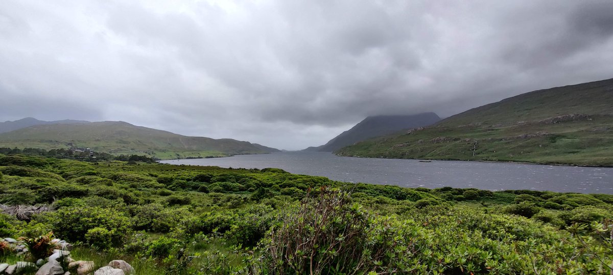HungryThree's tweet photo. As part of our stay-cation in Ireland, we visited Misunderstood heron in Leenaun, Galway.  Its about an hour from Galway city and it is a lovely scenic drive, with views full of fluffy sheep. While we were disappointed by the weather, we weren't disappointed by the food. https://t.co/ppz295Xi1P