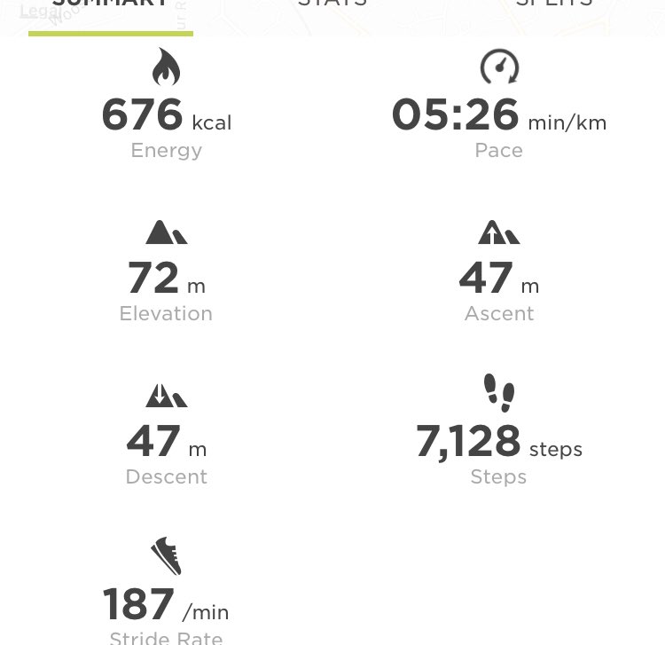 In and out again! Shorter but faster tonight #runfatboyrun