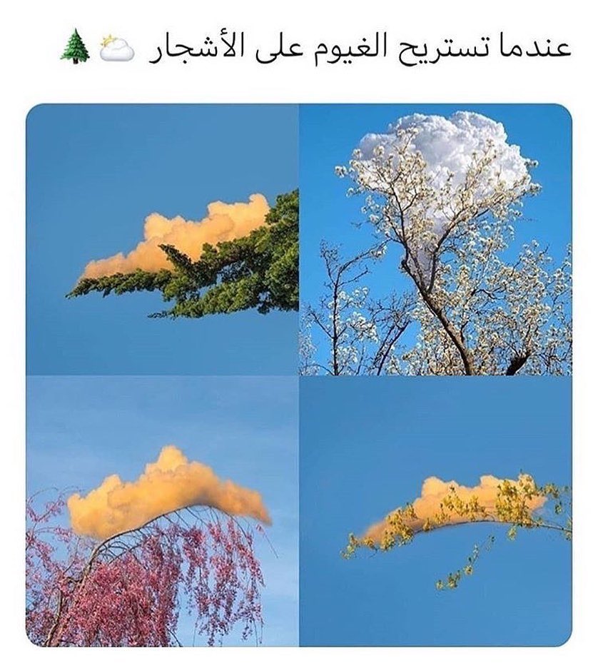 Rllliv9's tweet photo. ابداعع المصور ، تصويرك حلو 😂 ؟

#السناب https://t.co/osRoJbDxlf