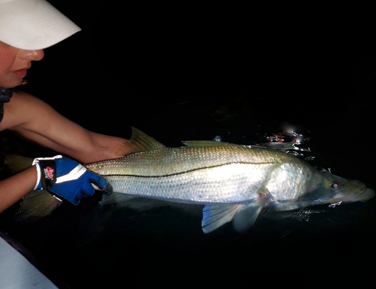 Roasty194's tweet image. Getting a good grip on that night bite with @CudaBrand 😏🧤

#fishthebest 
#fishing 
#cudabrand
#nightbite 
@Darynwhitephoto
@yozuri_lures 
@YamahaOutboards
@Take_Me_Fishing 
@RecBoatFish