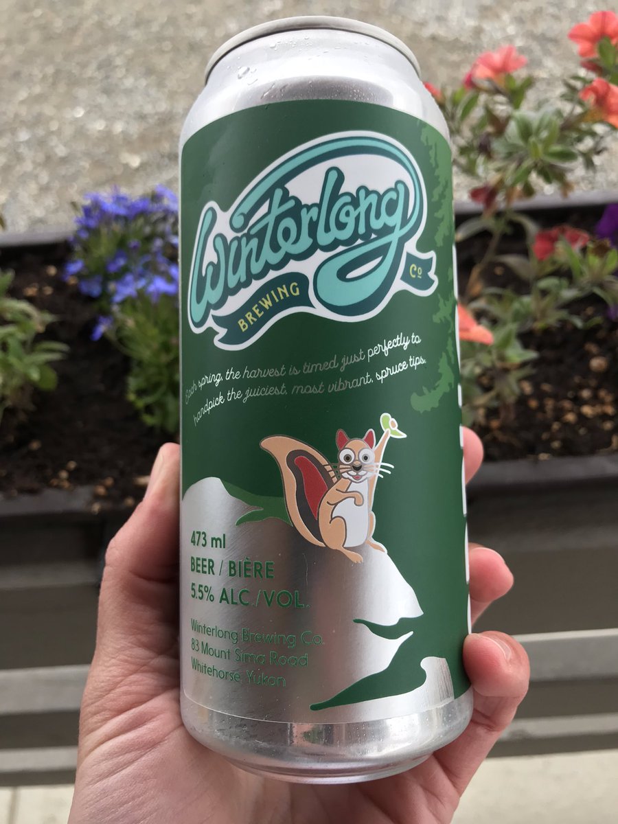 winterlongbeer's tweet image. S.P.R.U.C.E. T.I.P 🌲🌲🌲
On tap today and available in 4-Packs to go! 
#sprucetip #winterlong #foraged #handpicked #yukoncraftbeer #sprucebeer #freshbeer #supportlocalbeer #localbrewery #supportlocal