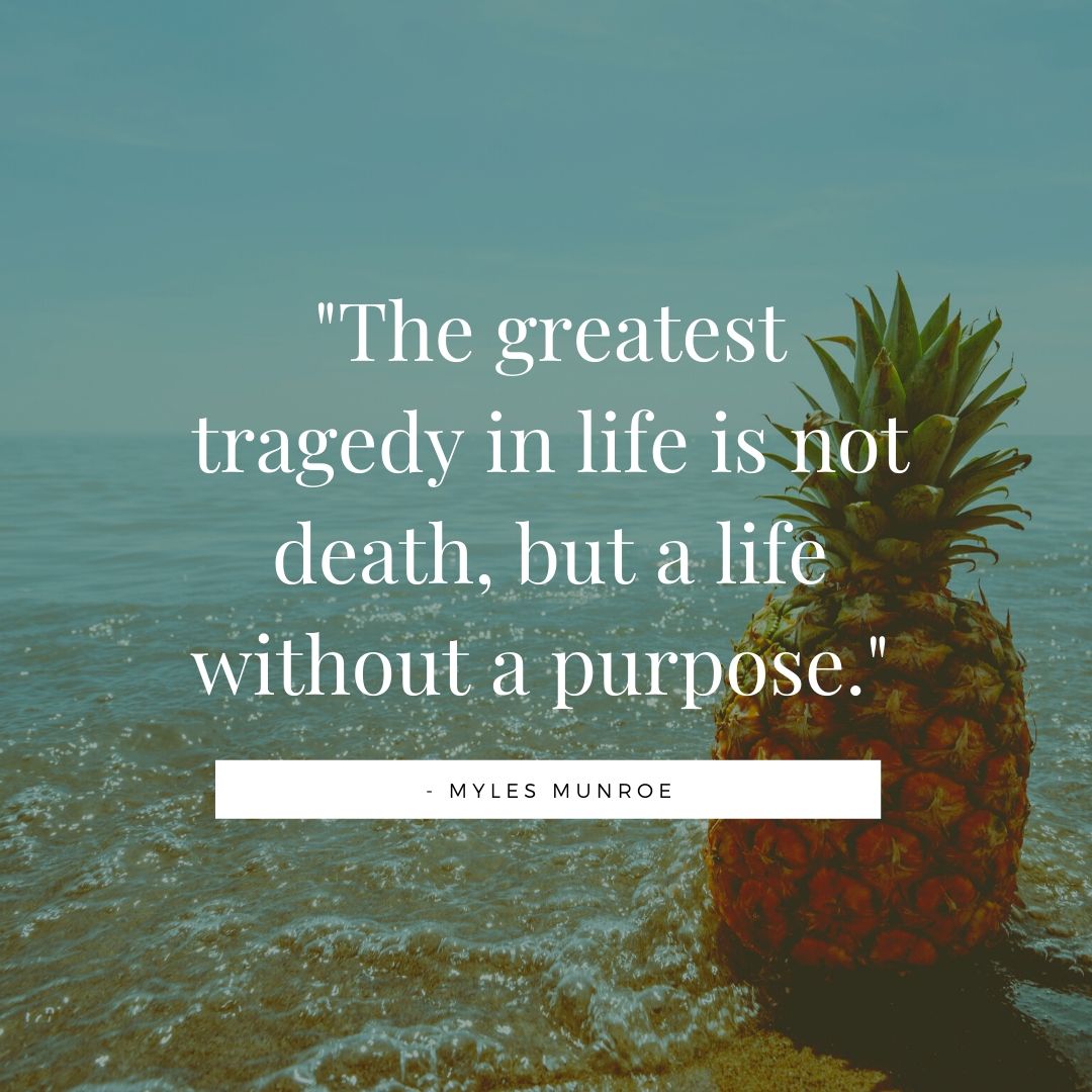 CarolynbakerS's tweet photo. There are so many things today that we as Americans can do to foster unity and understanding, that in itself is a great purpose for life. https://t.co/7X1Yn43jCM