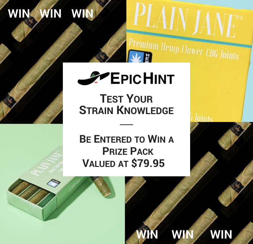 EpicHint's tweet photo. Need a fun Monday break? Test your cannabis strain knowledge and be entered to win $79.95 in #CBD, #CBG, and more from Plain Jane. 

It takes 3 minutes! Play, learn, and be entered to win >> https://t.co/tCkDp42bRM.

#epichint

#budtender #budtenderlife #budtendertraining #mjbiz https://t.co/vu1YIfQKTc