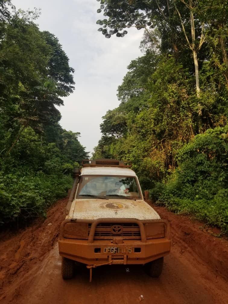 SavingGorillas's tweet photo. Update from the field: Fossey Fund DRC program Director, Urbain Ngobobo, took a 5 day road trip, 1200 kilometers on dirt roads, to reach the Nkuba field station. It took days of driving on rough roads, including stops to fix a flat tire and to dig the truck out of the mud. https://t.co/ffUzr7oDtj