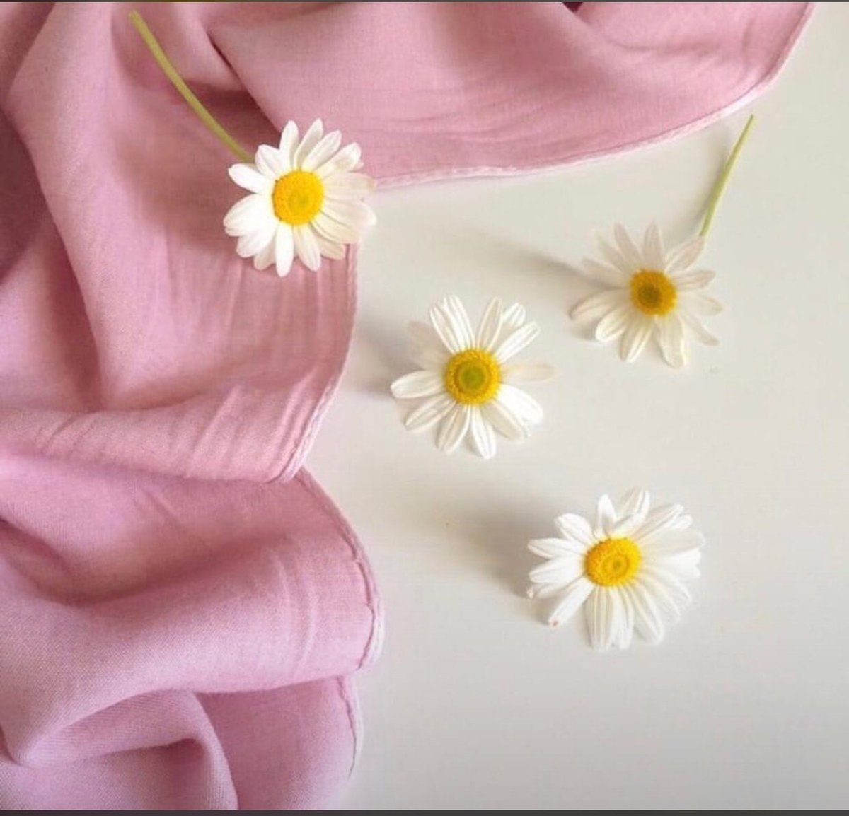 🍃

بعض الصور مثل الضماد للقلب،لا احتجت اشوف الحياة الحلوة أشوفها.❤️

،