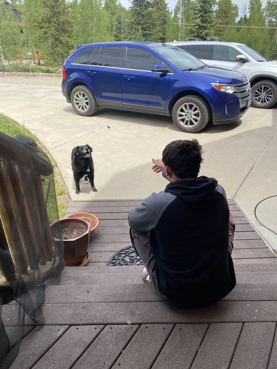 The Airbnb we’re staying at left a note about the neighborhood dog and look who pulled up today