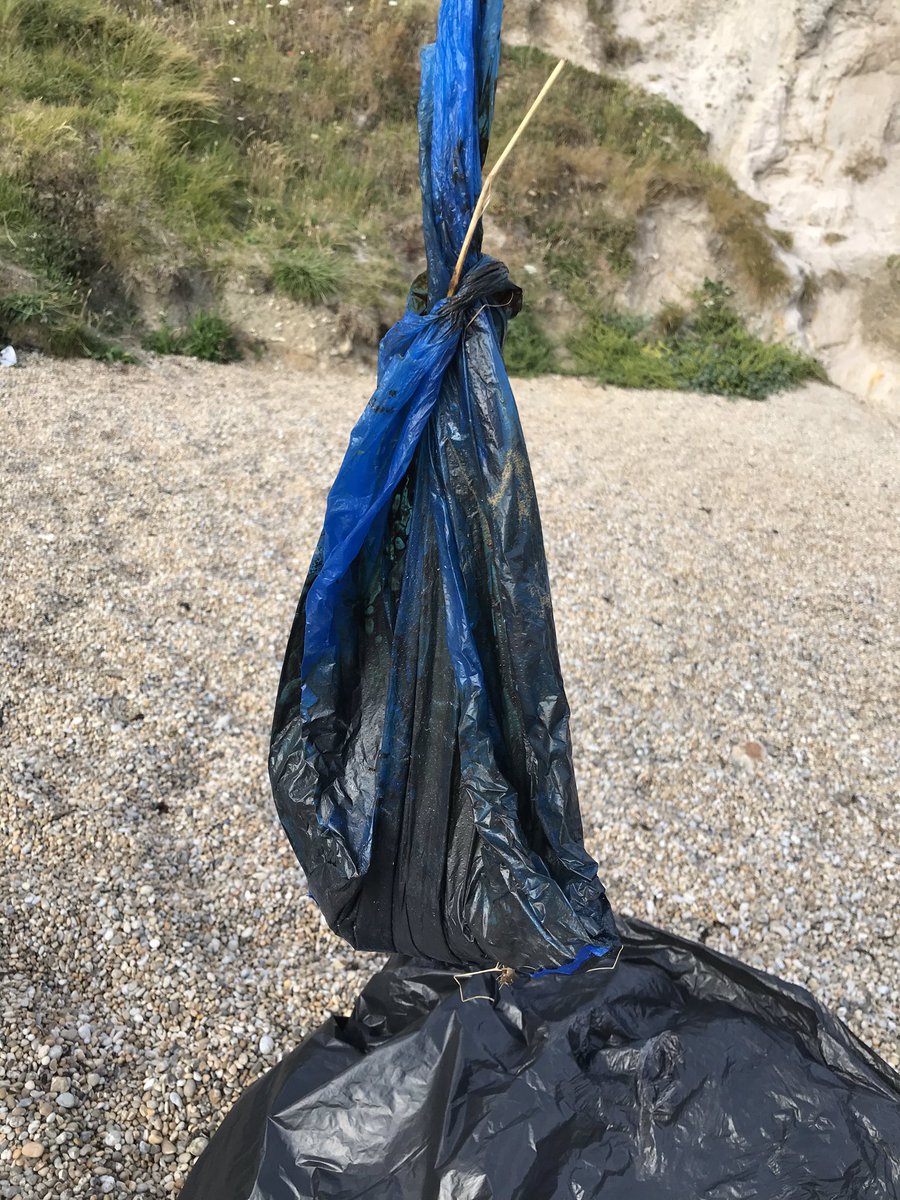 erintyrrellart's tweet photo. TAMPONS AND POO AT #DURDLEDOOR. The great duo. Whilst at #ScratchyBottom there was fag butt after fag butt and we cleared out 30 #corona bottles from one cave. Must have been a tough day. 3 bags collected this evening with @Bedders67
@LitterFreeCoast @DorsetCouncilUK https://t.co/isNidxhXUE