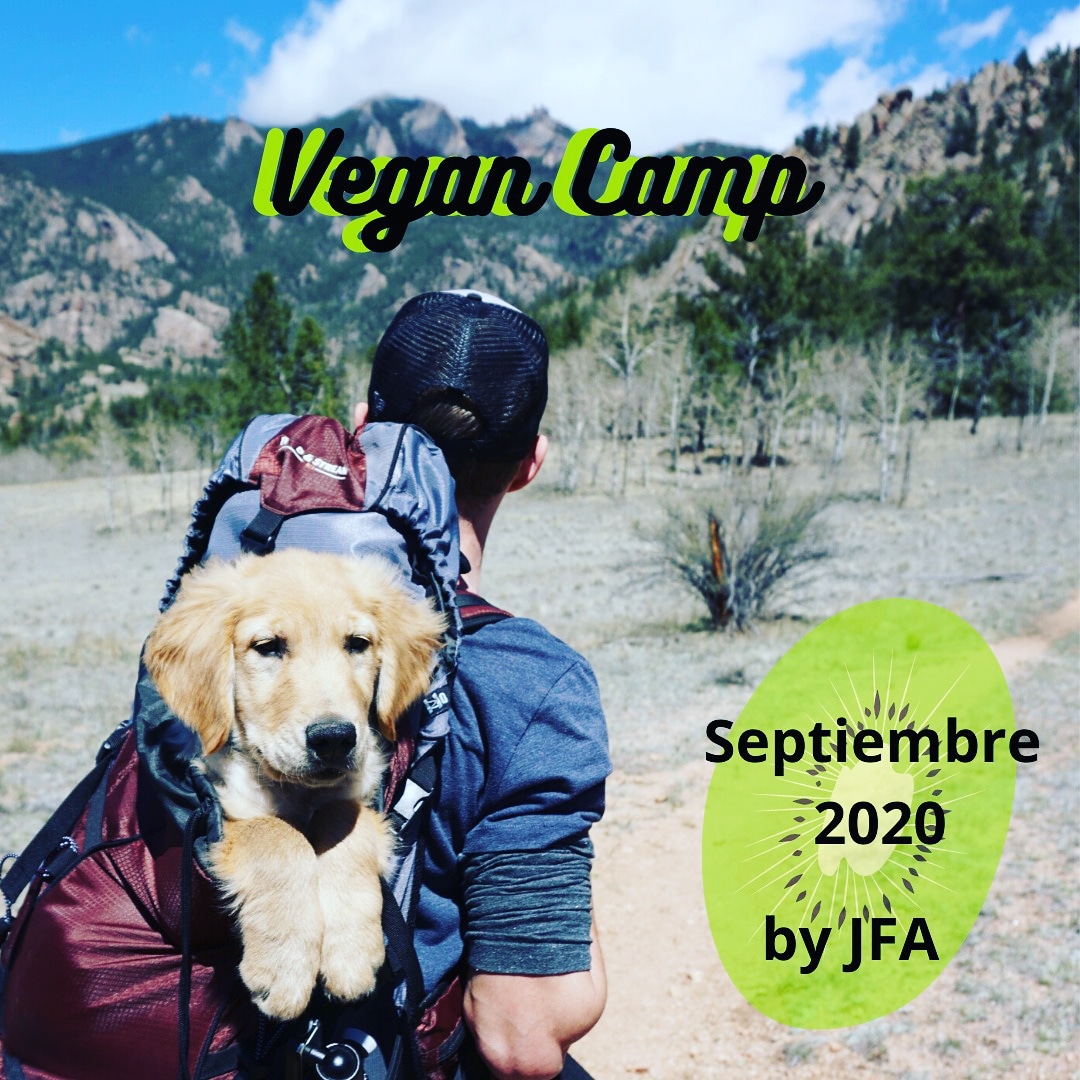 CampJFA's tweet photo. Os presentamos el primer campamento pensado para personas comprometidas en el medio ambiente! 💚🏕️

Pronto + info

#JFA_Spain
#naturaleza #adultos #verano #aventuras https://t.co/glJnUTqTPw