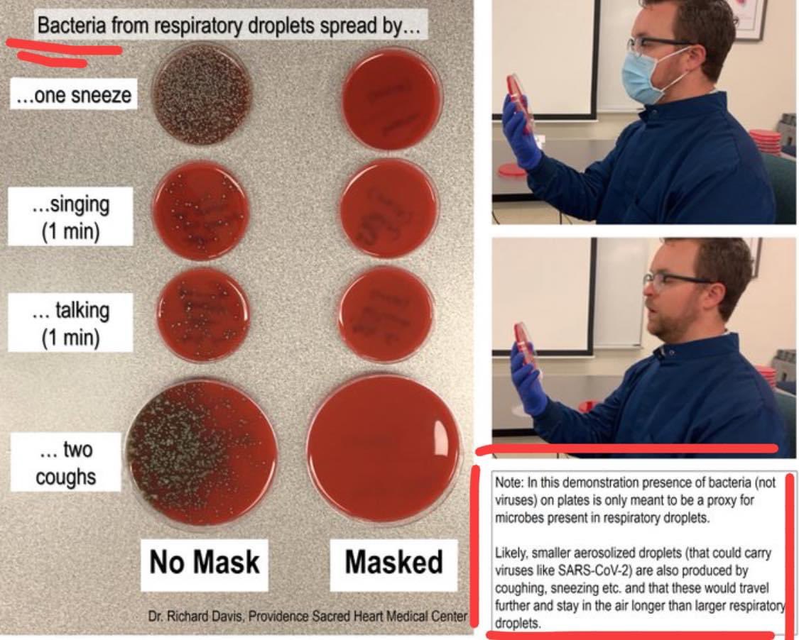 Mask research by toxicologist, Ashley Everly(A thread) #COVID19