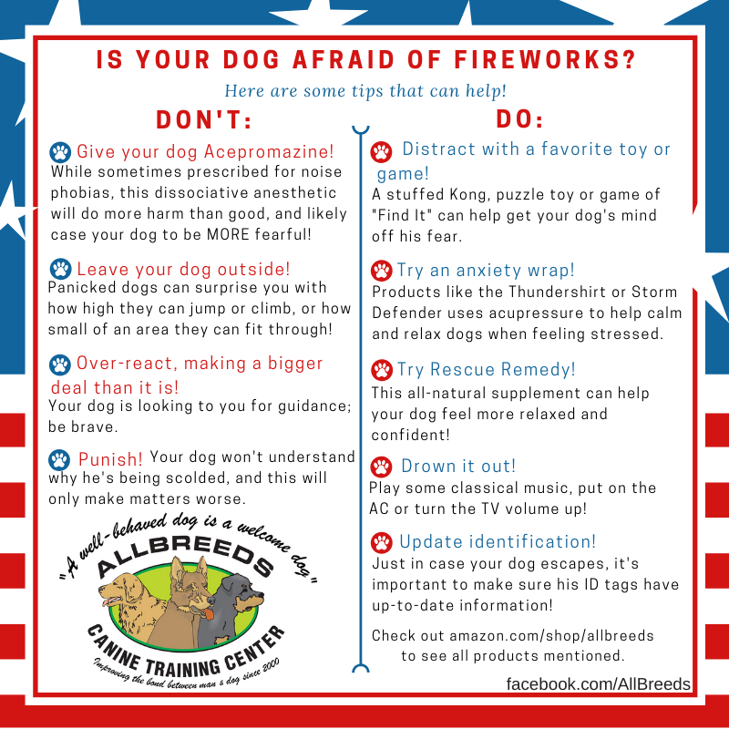 AllBreeds's tweet photo. The 4th of July is coming up fast! Share these tips with someone who has a dog that needs a little help on this holiday! (Please note: The same hints can be applied to thunderstorm phobias!!)

(products mentioned can be found here: https://t.co/tOsMnSkQ3b ) https://t.co/4c7Lbn9z09