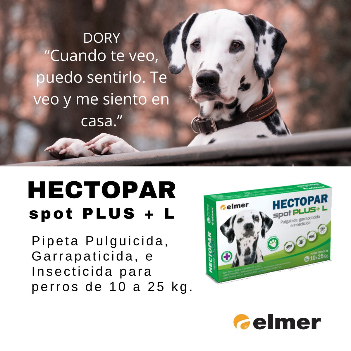 Elmer_Vet's tweet photo. HECTOPAR spot PLUS + L. Pipeta Pulguicida, Garrapaticida e Insecticida, para caninos de 10 a 25Kg.
https://t.co/xa59OmncdM
#elmer #mascotas #veterinarias #saludanimal #perros #cachorros #higieneveterinaria #petshop #petfriendly #pulguicida #garrapaticida #insecticida #pipetas https://t.co/Cgp0kIgz6j