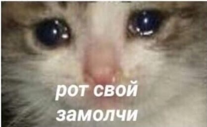не вижу разницы 

#клубромантики