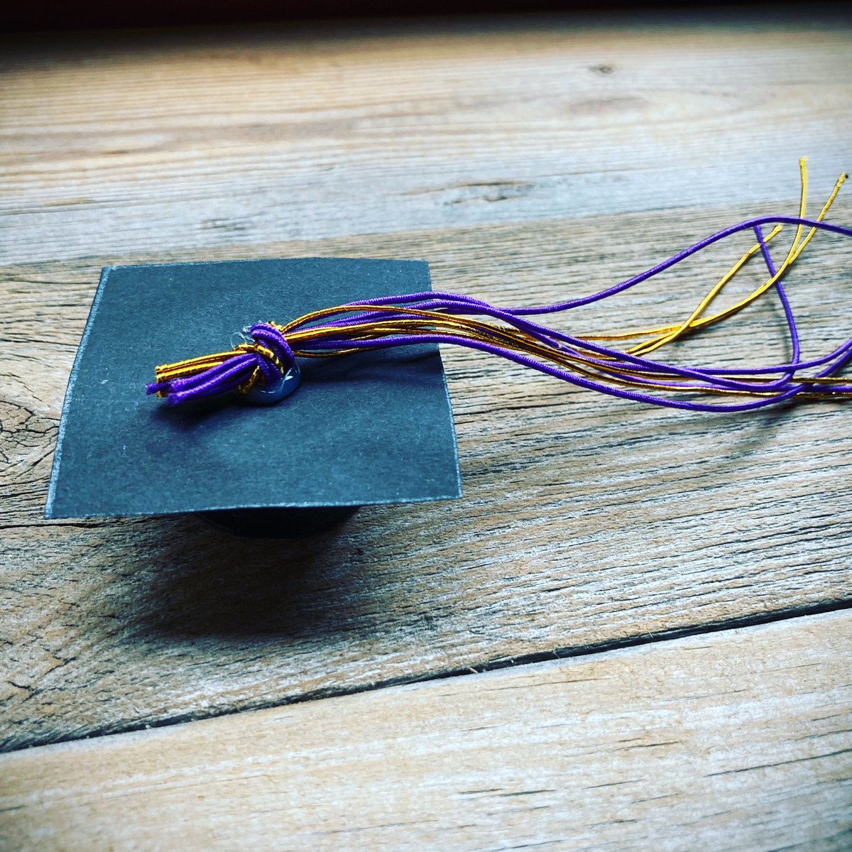 Congratulations to the graduates of 2020! Thank you to our students who have recently graduated for your many contributions to our team’s success! We wish you all the best!