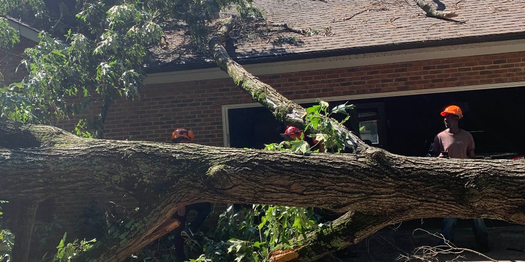 TimberWarriors's tweet photo. Getting to straight to work on this emergency tree job!
#TimberWarriors #treeremoval #treecare https://t.co/2NaXla7rQs