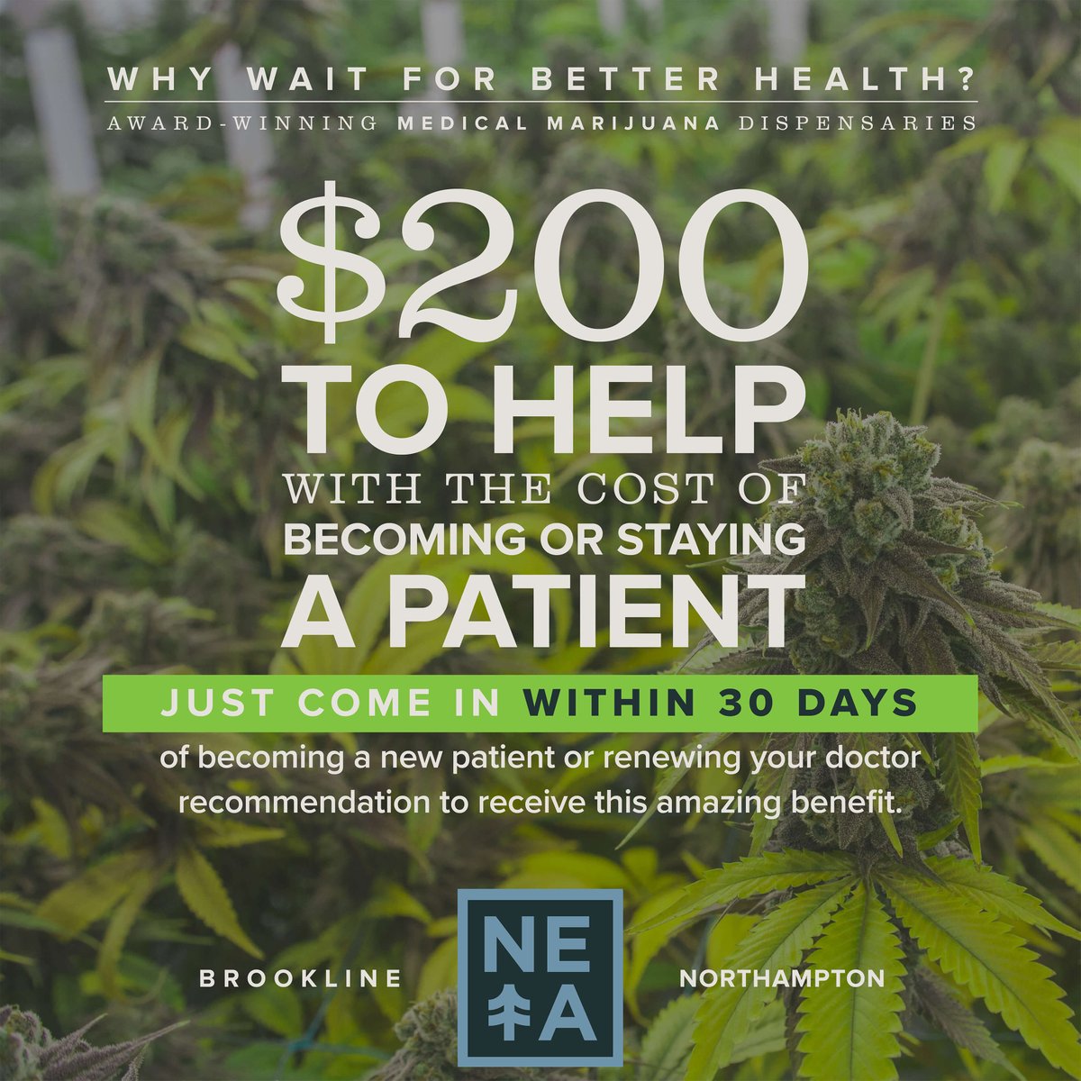 netacaremass's tweet photo. Thinking of becoming a patient?
It's easy - many #cannabis specialists offer online offer online certifications!
&
It's quick - registration can be done same day as your certification!
&
Our #WhyWaitForBetterHealth program offsets the cost!
Learn more: https://t.co/8vuMKFc5YZ https://t.co/dtz78k91yW