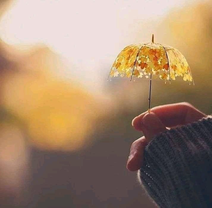 کب سے مقدمہ چل رہا ہے میری محبت ک 
 سو چتا ہوں کچھ رشوت دے کے تجھے اپنا لوں۔