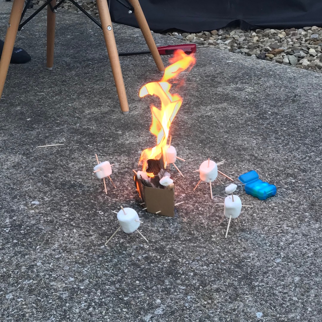 Porch_RC's tweet photo. Here is Fuzzy Wuzzy Brown's creation, Marshmellin’ round the fire, from the leader challenge this week! If you think this is the best creation, like this picture! The creation with the most votes wins points for their group! https://t.co/LqKsKCKm5g