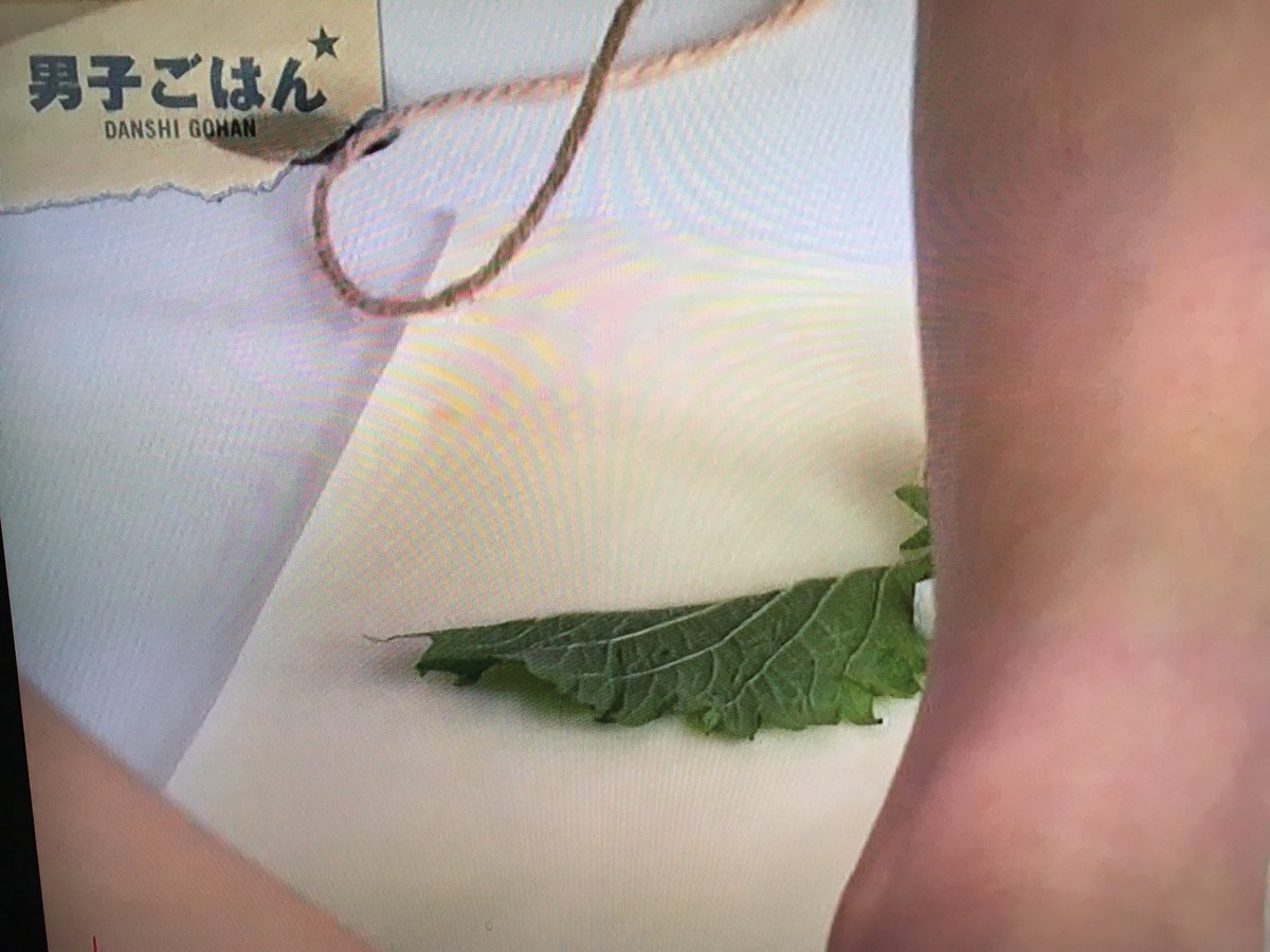かしら 録画していた 男子ごはん を視聴中 広末涼子さんがゲストな会なんだけども 広末さんが着ているエプロンの紐 がまな板へ垂れてる その衣装選択したの誰よ あれは料理番組として印象良くない 男子ごはん テレビ東京