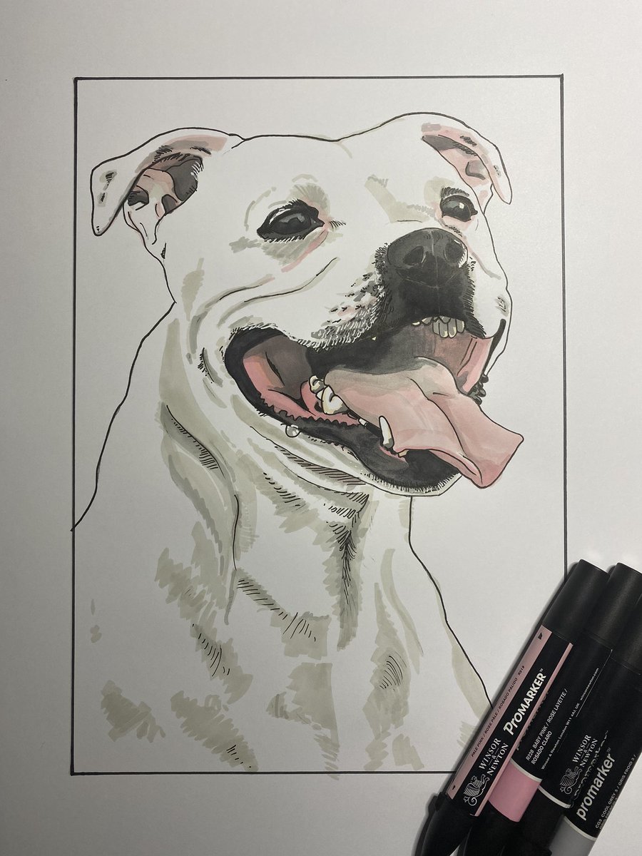 NickGribbon's tweet photo. I’m currently drawing pets for my new Kickstarter. Here’s Poppy. Get your own commission and hardback book featuring your pet too.
https://t.co/dyJ6Sn0M0K…
@kickstarter #kickstarter #pet #portrait #handdrawn #art #artwork #book #illustration #dog #art #artbook https://t.co/pmig6e2Vxb