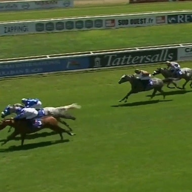 #LATESTE
SHADWELL- COUPE DU SUD-OUEST DES PUR-SANG ARABES GR3 (4 ans et plus) 🏇 <a href="/DIA_Races/">Dubai Int Arab Races</a>
🏆CONGRATULATIONS 🏆
H: BEL'IZAM
O: CHEIK RHR. AL MAKTOUM
B: HARAS DE MANDORE
T: <a href="/DWatrigant/">Damien de Watrigant</a>
J: JB. EYQUEM