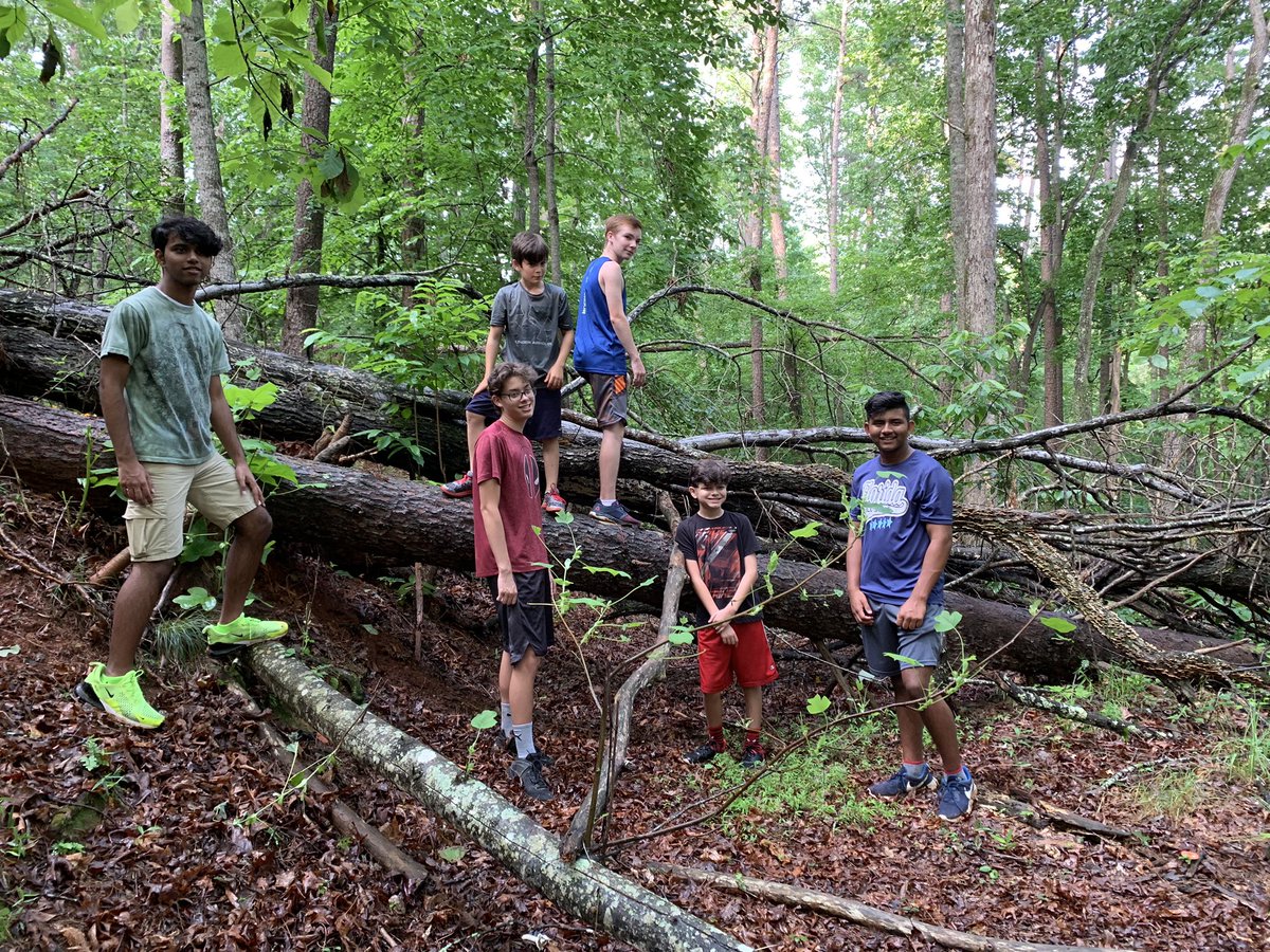 Bill Toler tweet media