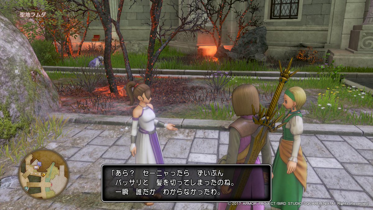 Dq11 Min T ミント Dq11 Min T ミント