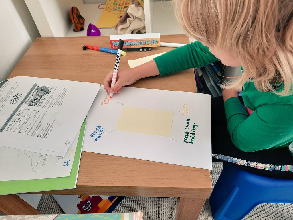 Teresa Taylor tweet media