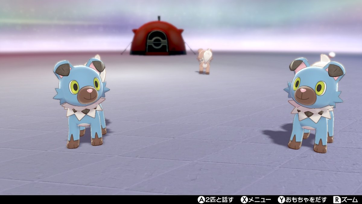 たんぱんp イワンコ色違い2ひきでた チョコミント感がすごい ポケモン剣盾 Nintendoswitch